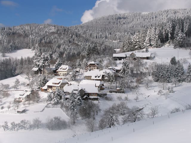 Schwarzwald pur