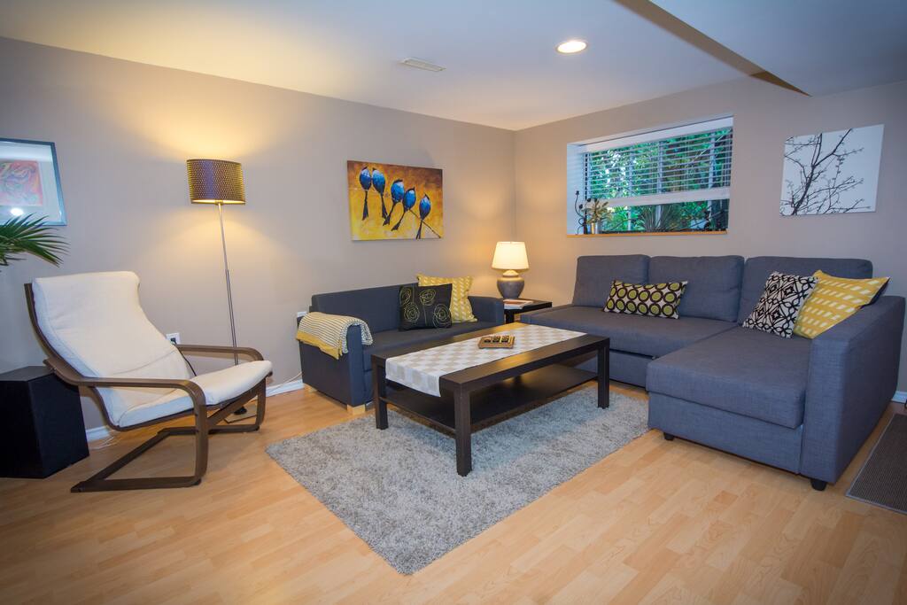 Living room - large couch opens into queen bed