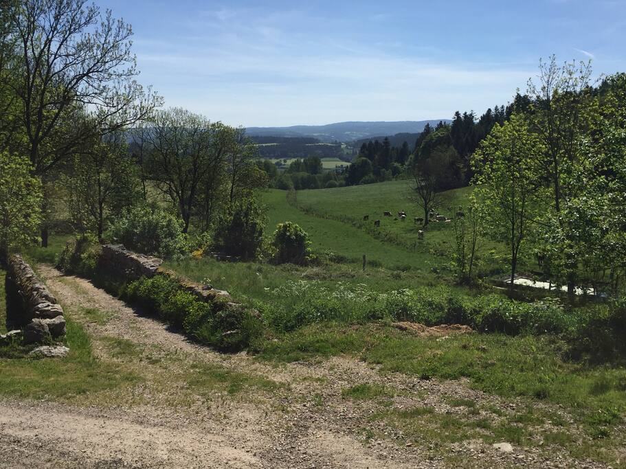 Vue dégagée sur une nature préservée