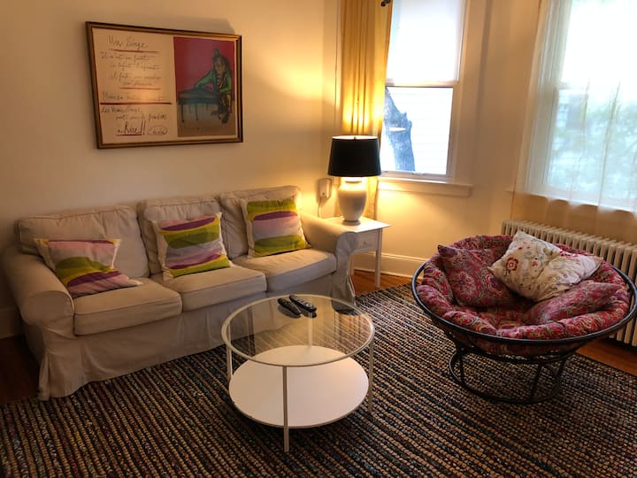 Udoban prostor za opuštanje s knjižnicom, kabelskom televizijom i videoigrama . Na kauču može spavati jedna osoba