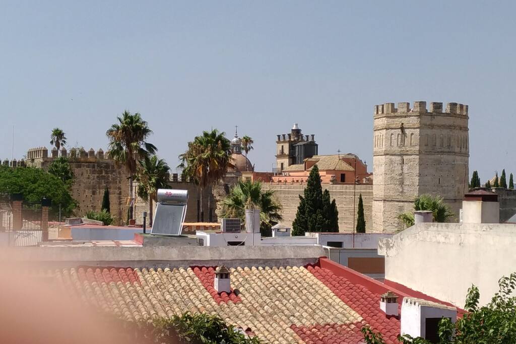 vistas del Alcázar