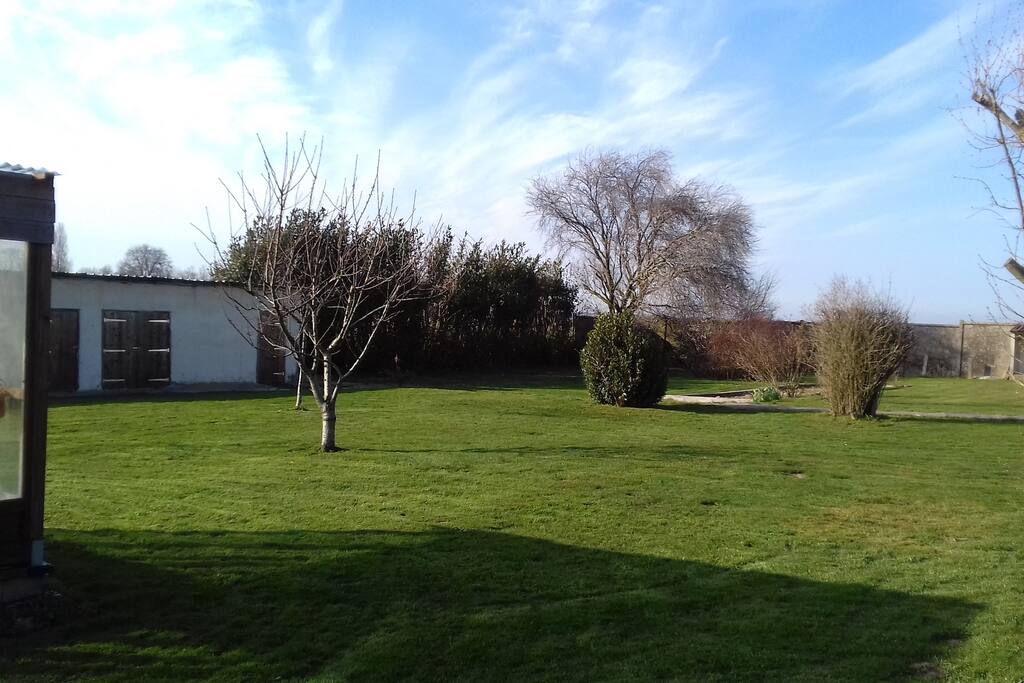 Le terrain