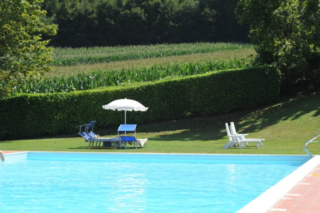 Grande piscina immersa nel verde attrezzata con ombrellone e 2 sdraio