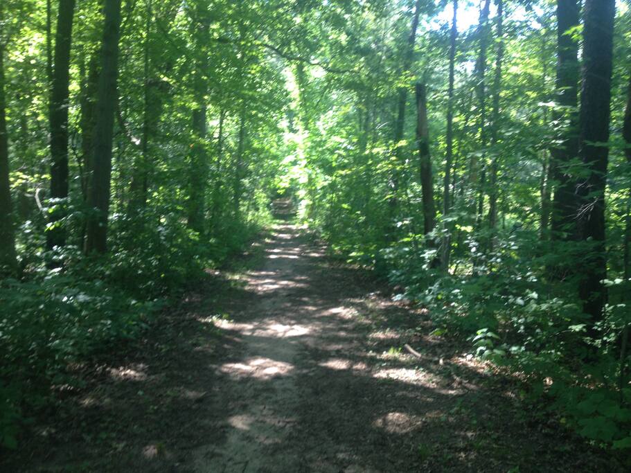 The Path 7/06/17