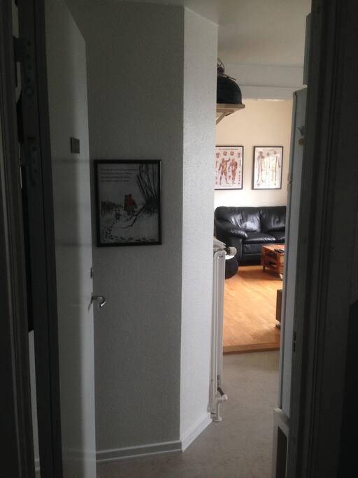 Lejligheden, set fra hoveddøren.