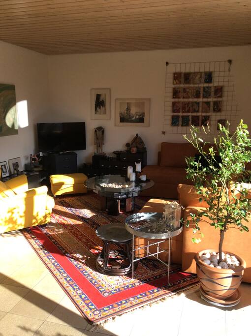 Salon avec cheminée, TV, Hifi