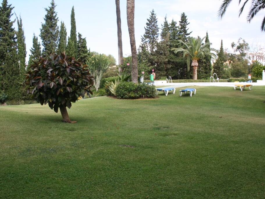 Jardín