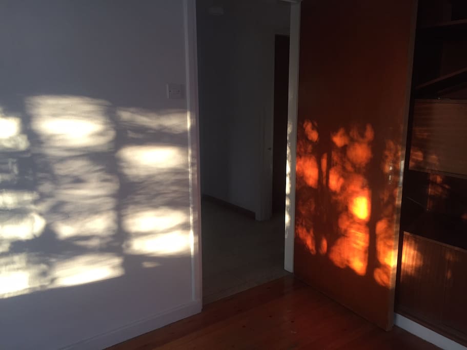 afternoon natural light