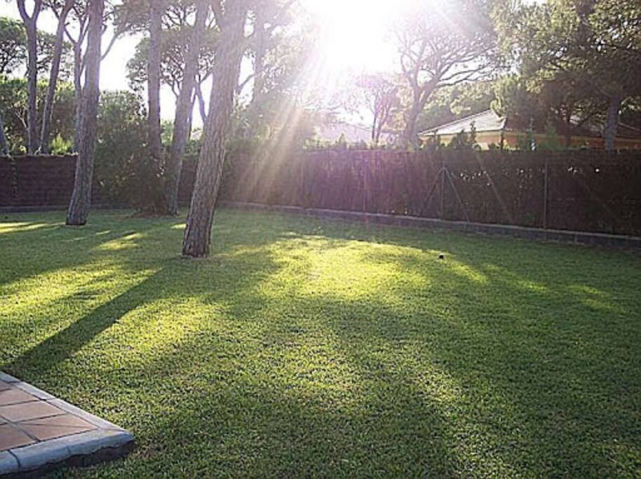 Jardín privado
