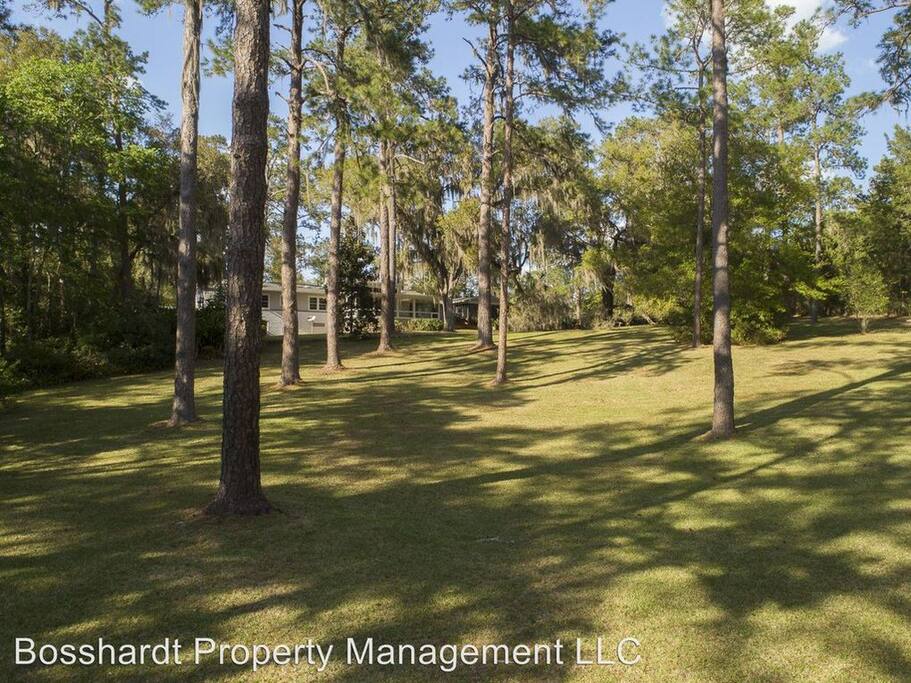 back yard