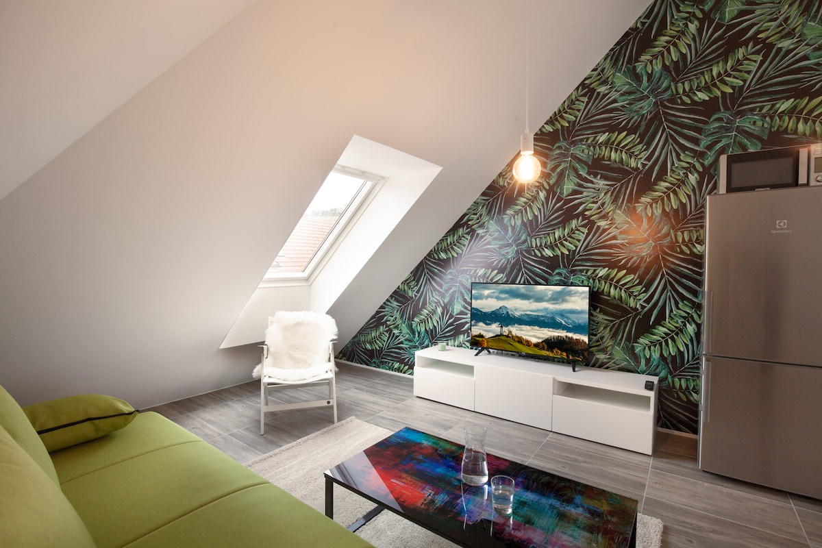 Flex Multicolour - TV a rozkladacia pohovka