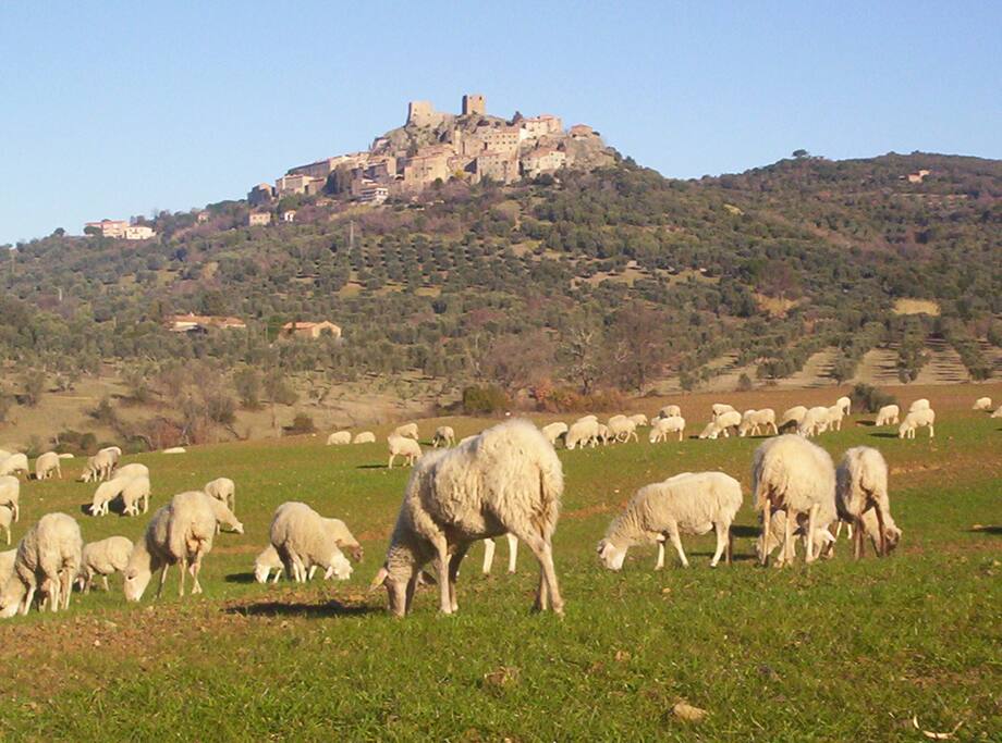 Montemassi