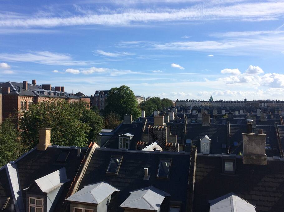 View from the livingroom