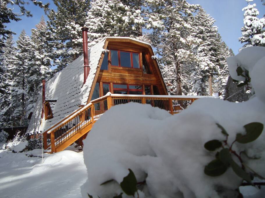 Snowy Winter!