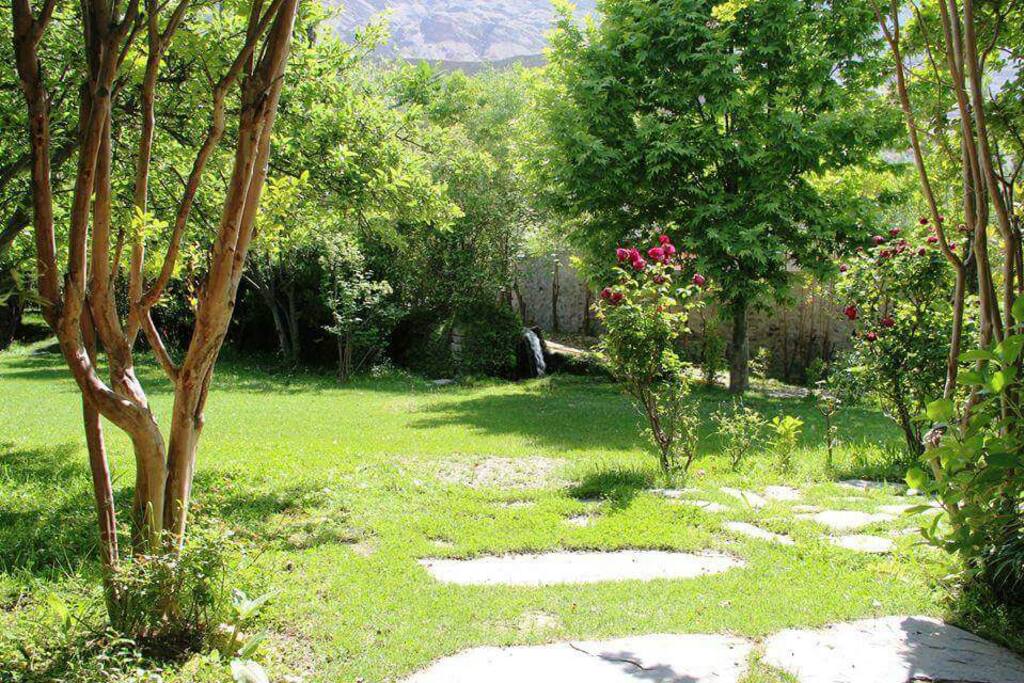 Front Lawn