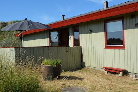 Ugenated natural plot Henne Strand