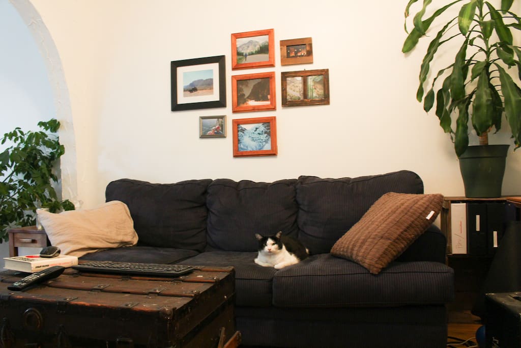 Une autre partie du salon double, le chat quant à lui sera chez la gardienne.