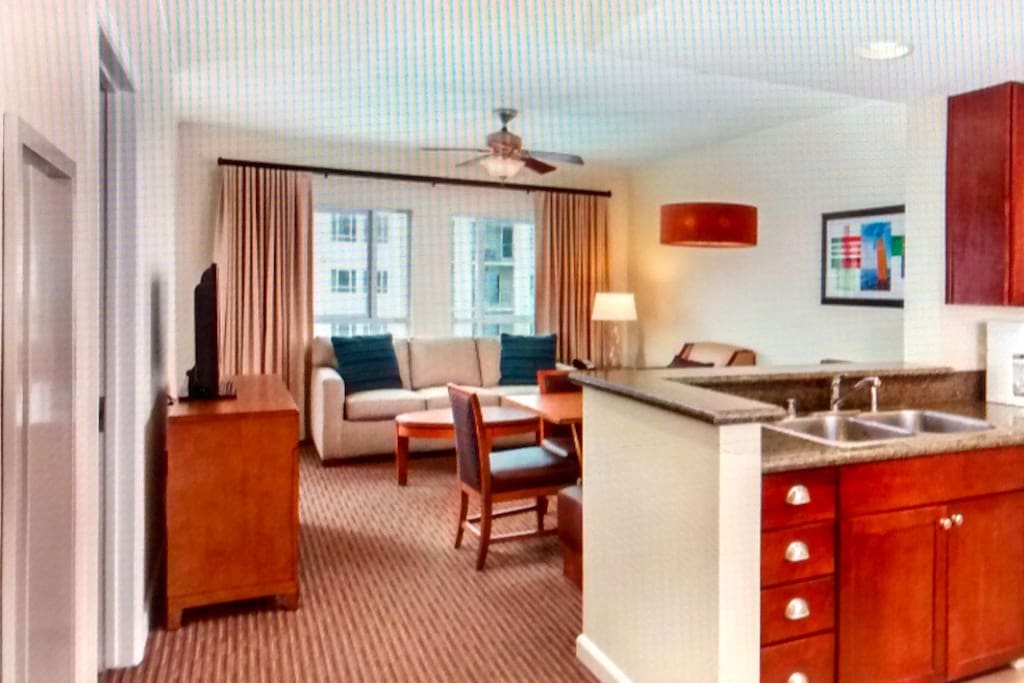 Living Room/Kitchen