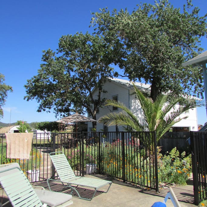 Garden views from the pool deck