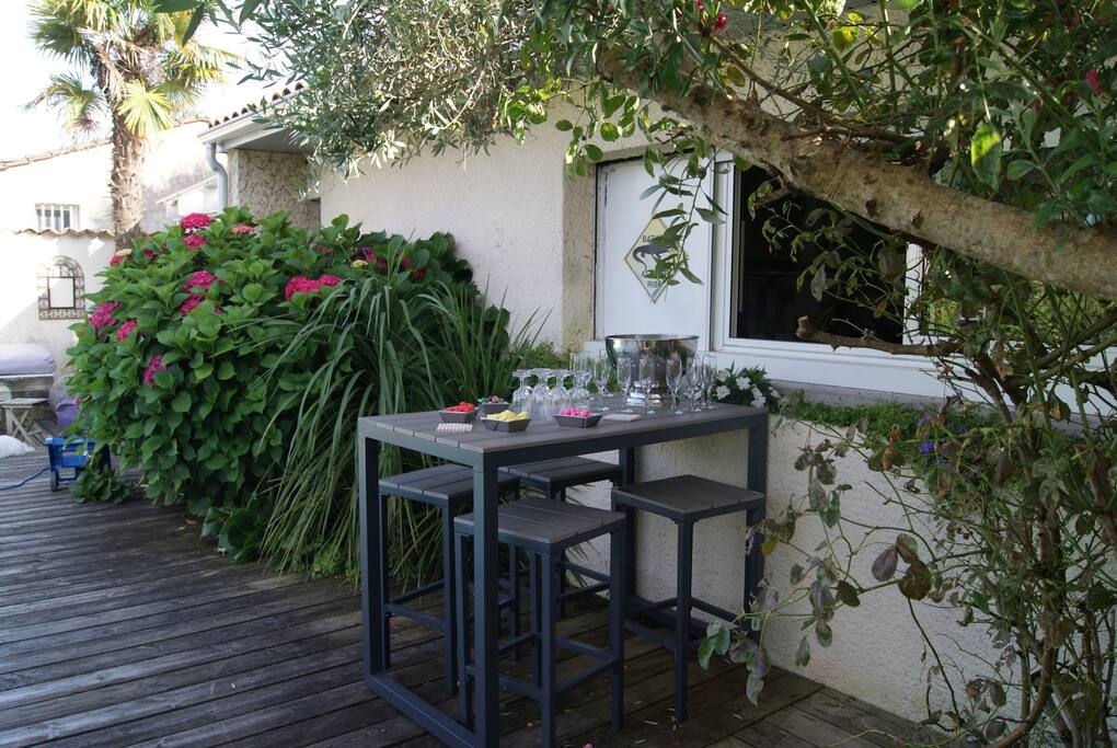 Petit déjeuner au bords de la piscine