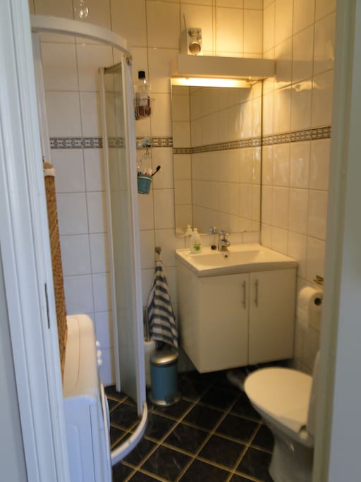 Bathroom with shower and washing machine