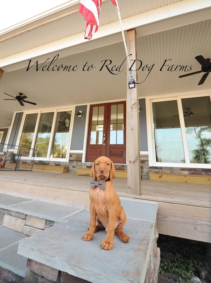 Burgaw Holiday Rentals & Homes North Carolina, United States Airbnb