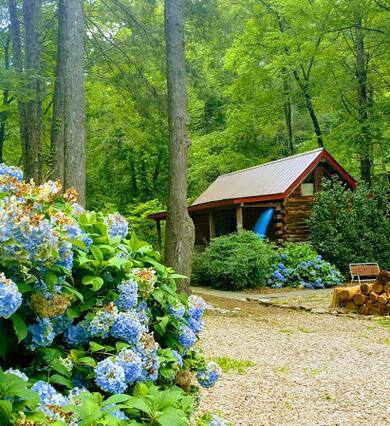 Vacation Homes Condo Rentals Airbnb