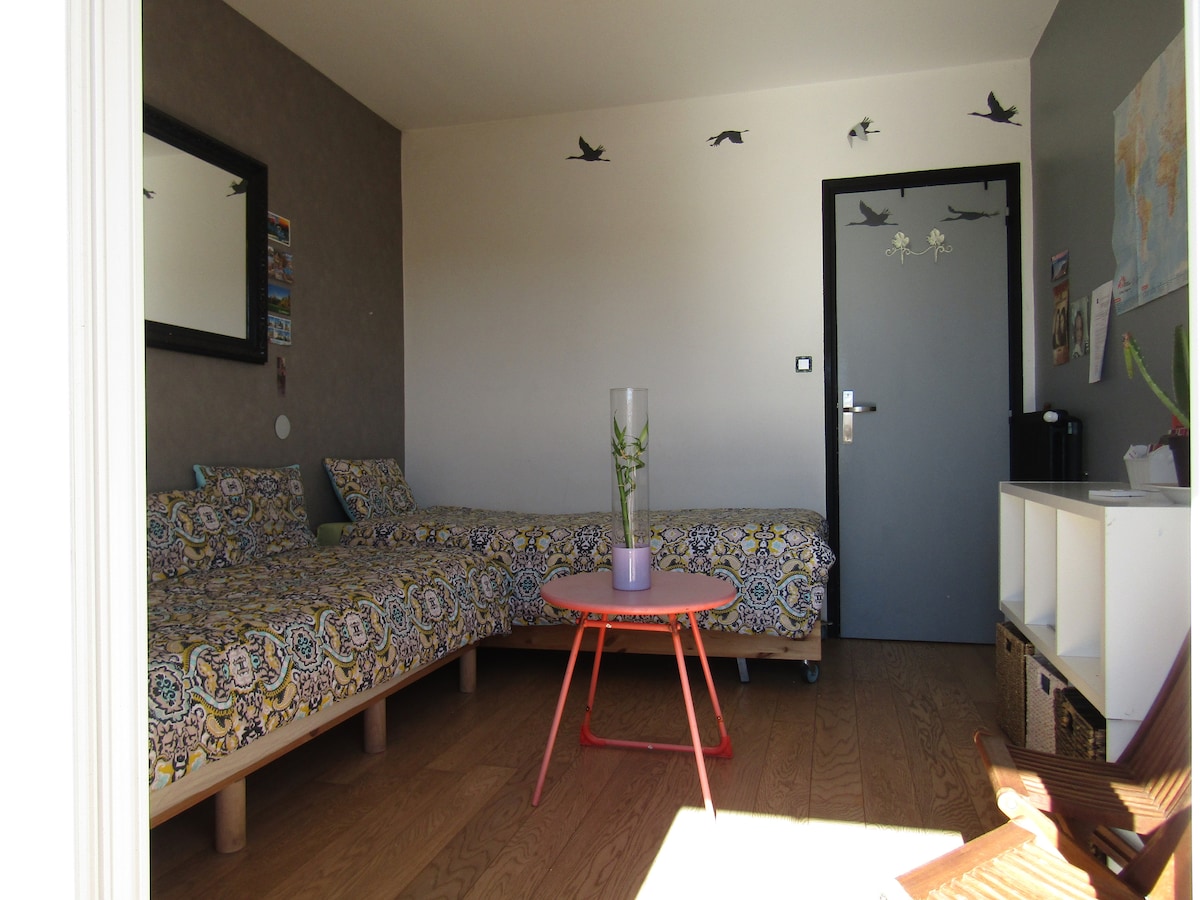 A bright room features two single beds with colorful patterned covers, positioned adjacent to each other. A small round table sits between the beds, adorned with a vase containing a green plant. A mirror and wall decals enhance the room's character, while a door leads to an exterior space.