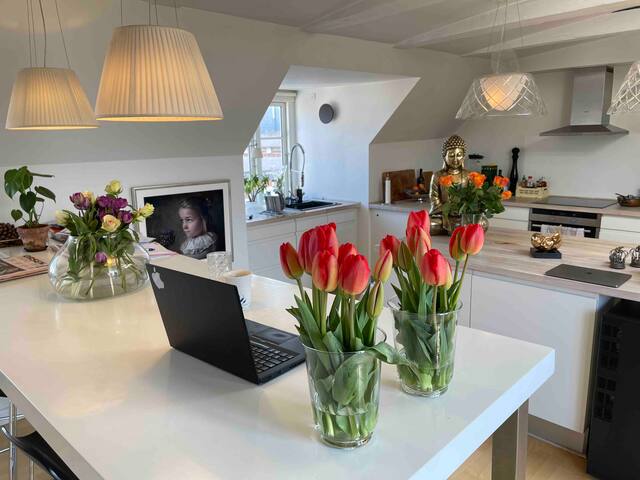 Penthouse, baghus på Kgs Nytorv med privat altan.