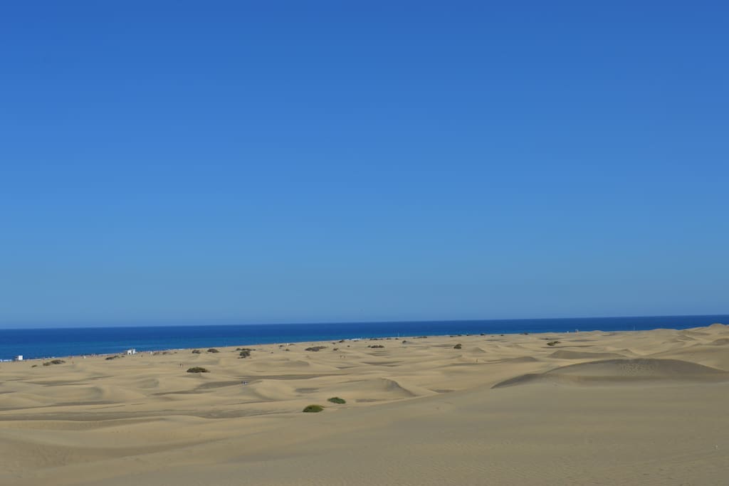 Dunas y playa