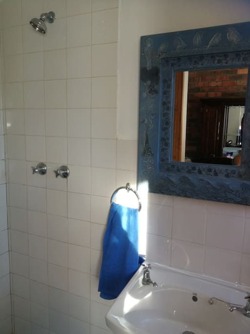 Shower, basin and toilet in bar room.