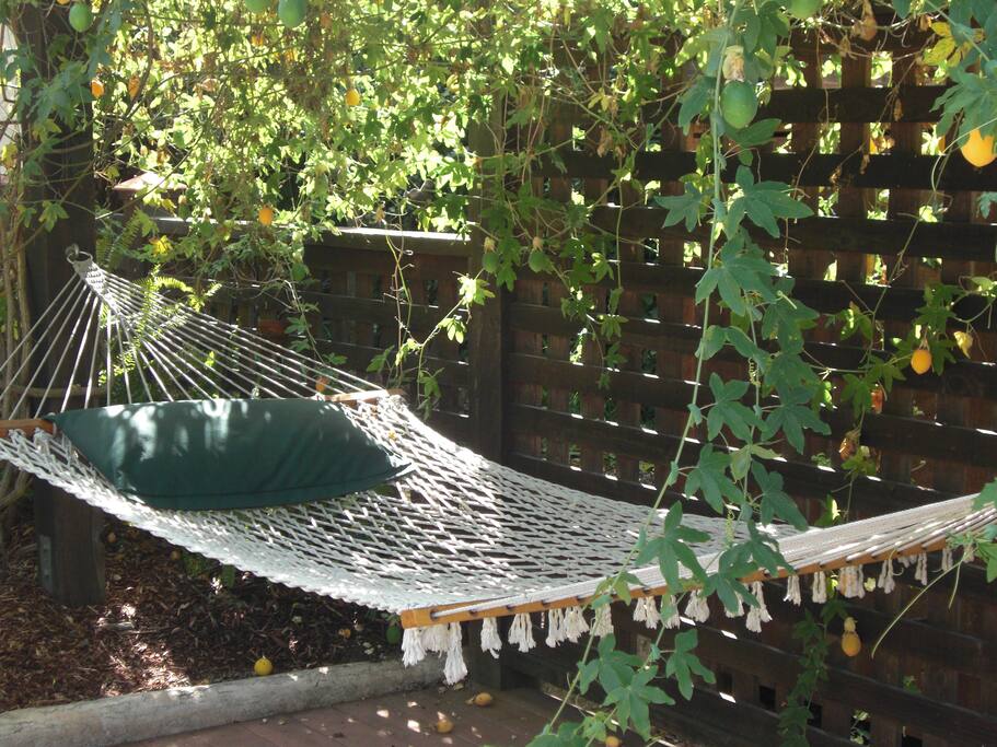 Hammock Next to Pool