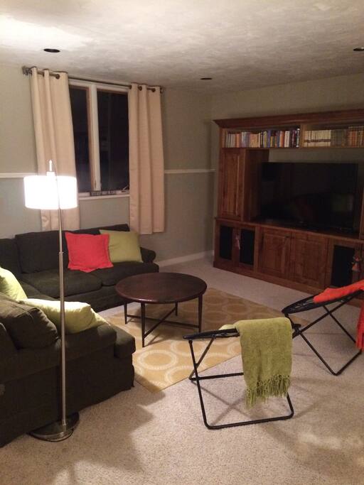 Downstair Entertainment room