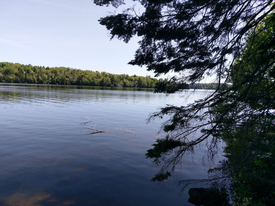 Lake