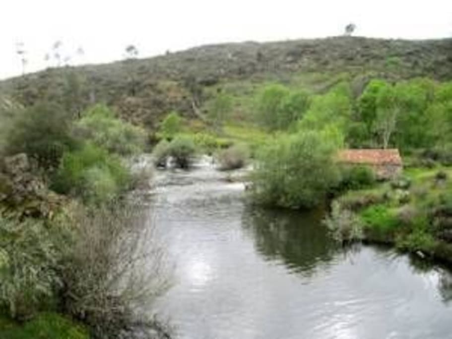Rio Massueime