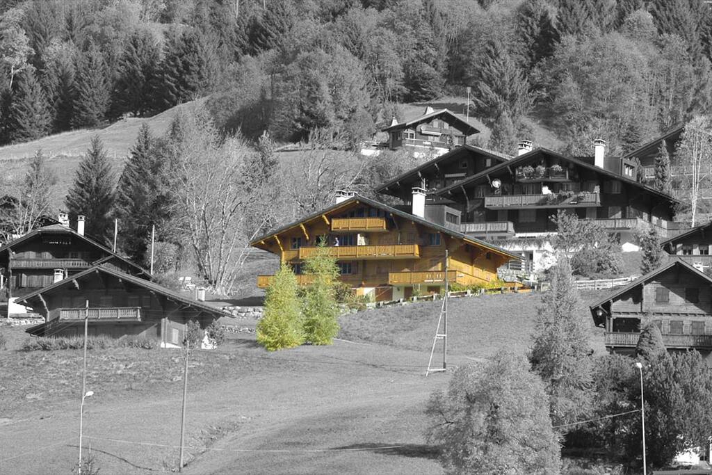 Vue depuis la piste de ski