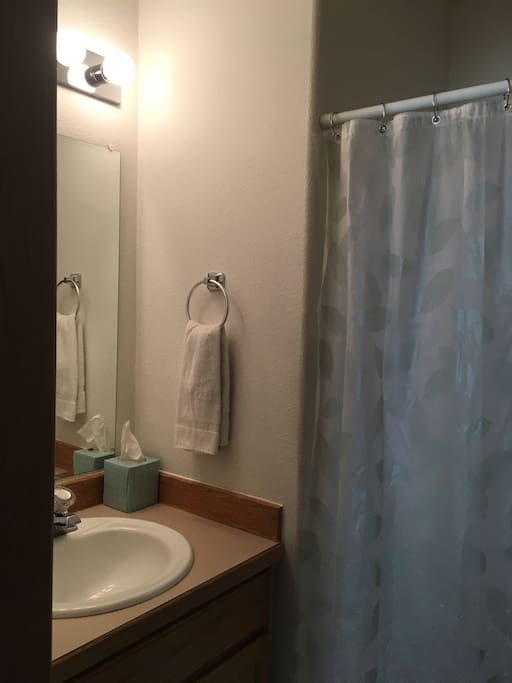 Attached full bathroom includes standard size bathtub with detachable shower head.