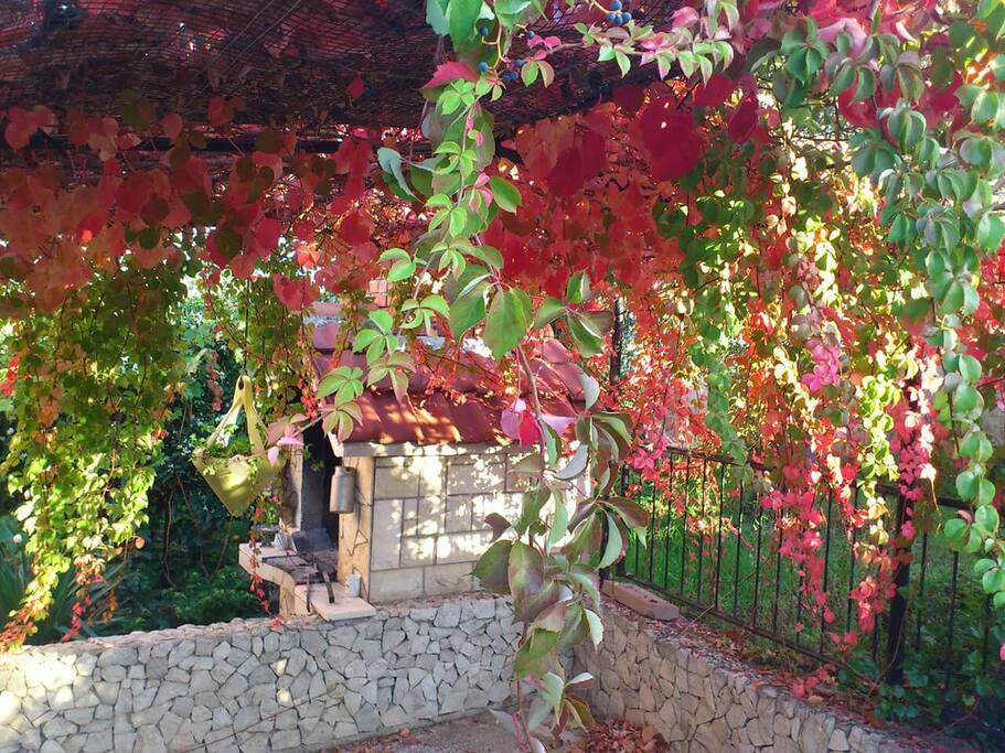 Our grill in garden