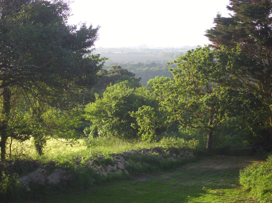 vue de la maison