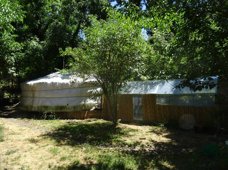 the yurt and the kitchen