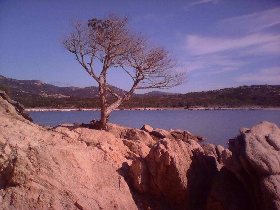 PLAGE A PROXIMITE