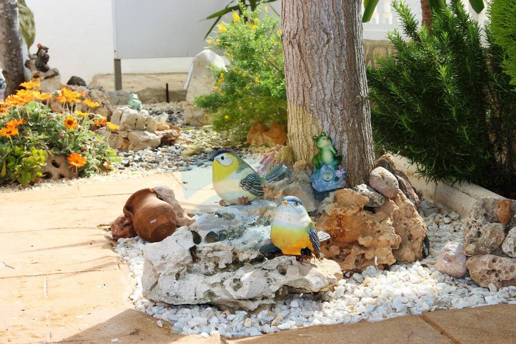 Detalles de la terraza