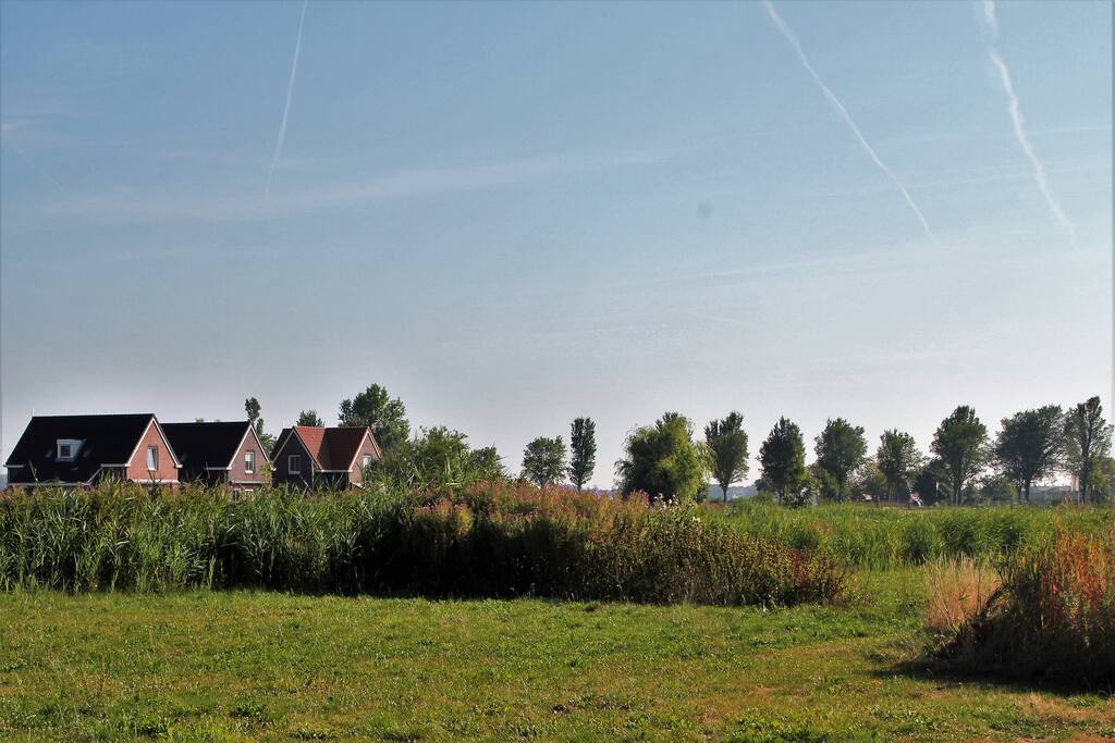 rondom het huis