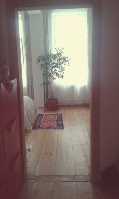 Two windows in your room.