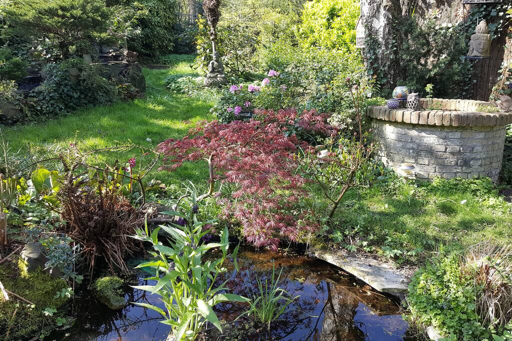 Beautifull garden