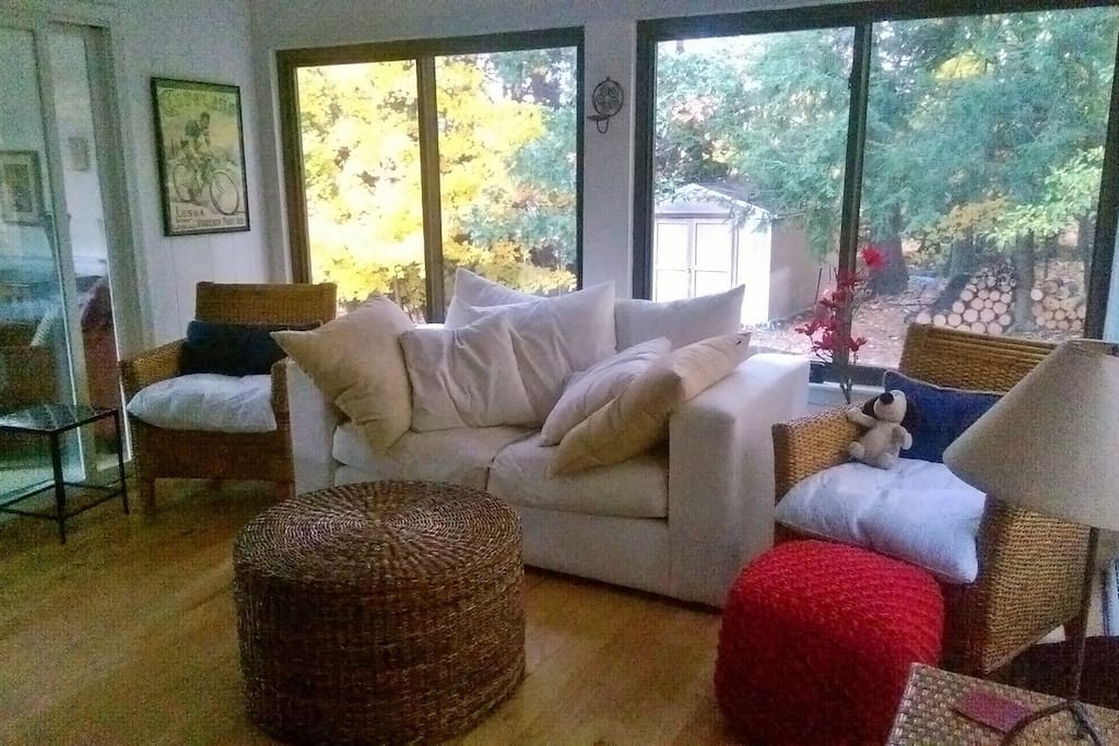 Four season porch, comfy couch. Lots of light.