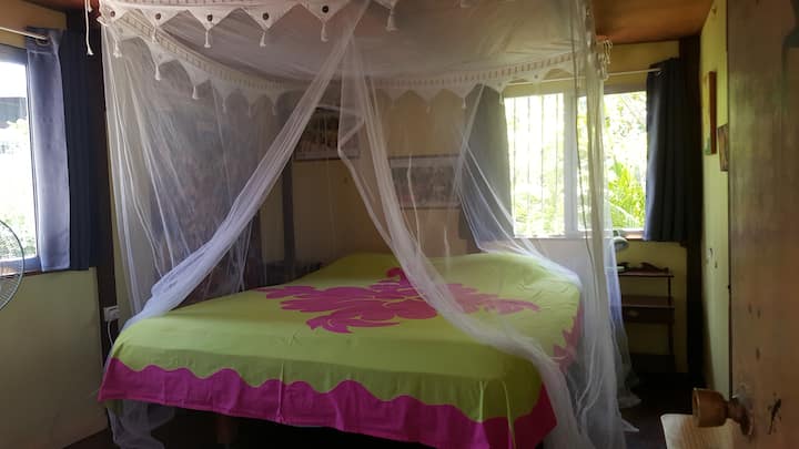 საწოლი 2 მ x 2 მ ცალკე საძინებლიდან: მწერების საწინააღმდეგო ბადე მხოლოდ იმისთვის, რომ გაალამაზოს 