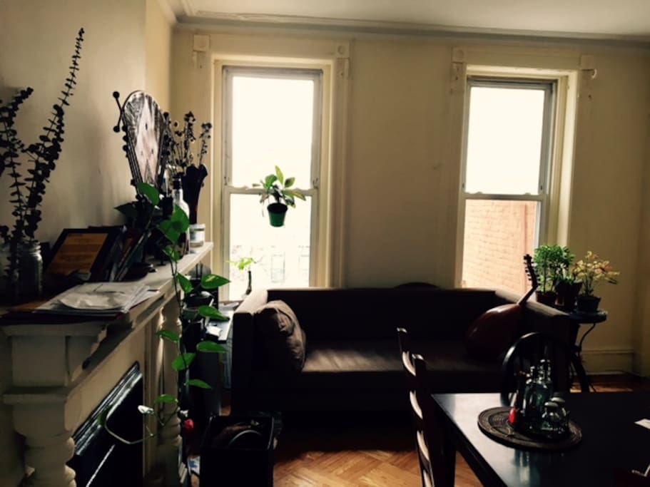 Common Space: Living Room