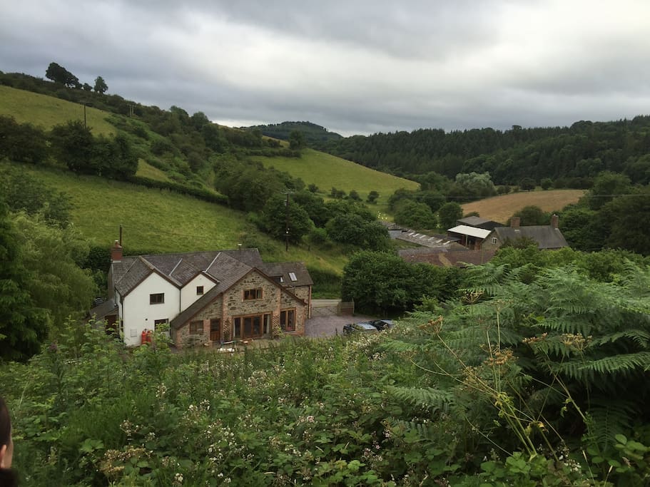 View from top of our land including house