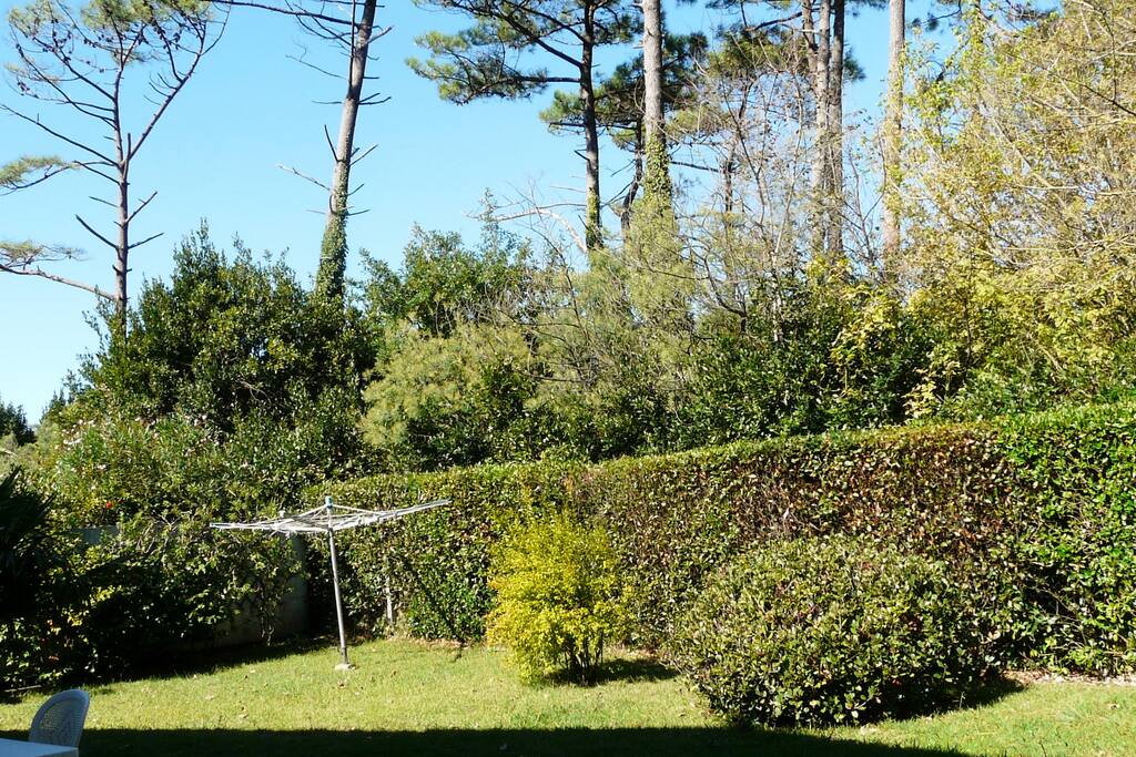 vue de la façade arrière terrain clos